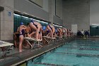 Swimming vs Babson  Wheaton College Swimming vs Babson College. - Photo By: KEITH NORDSTROM : Wheaton, Swimming, Babson
